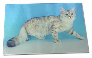 Large Glass Cutting Chopping Board Siberian Silver Cat