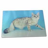 Large Glass Cutting Chopping Board Siberian Silver Cat