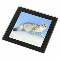 Siberian Silver Cat Black Rim High Quality Glass Coaster