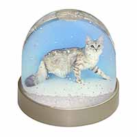 Siberian Silver Cat Snow Globe Photo Waterball