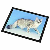 Siberian Silver Cat Black Rim High Quality Glass Placemat