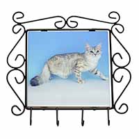 Siberian Silver Cat Wrought Iron Key Holder Hooks