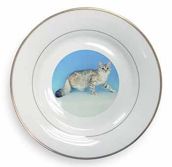 Siberian Silver Cat Gold Rim Plate Printed Full Colour in Gift Box