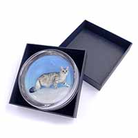 Siberian Silver Cat Glass Paperweight in Gift Box