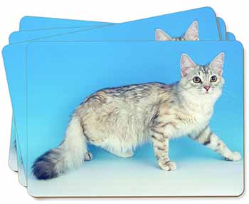 Siberian Silver Cat Picture Placemats in Gift Box