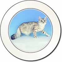 Siberian Silver Cat Car or Van Permit Holder/Tax Disc Holder