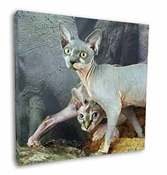 Sphynx Cat Square Canvas 12"x12" Wall Art Picture Print