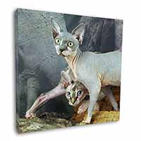 Sphynx Cat Square Canvas 12"x12" Wall Art Picture Print