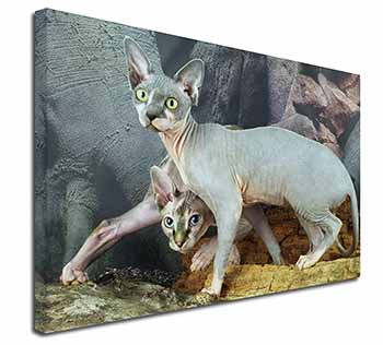 Sphynx Cat Canvas X-Large 30"x20" Wall Art Print