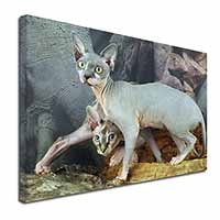 Sphynx Cat Canvas X-Large 30"x20" Wall Art Print