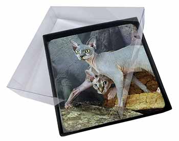 4x Sphynx Cat Picture Table Coasters Set in Gift Box