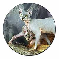 Sphynx Cat Fridge Magnet Printed Full Colour