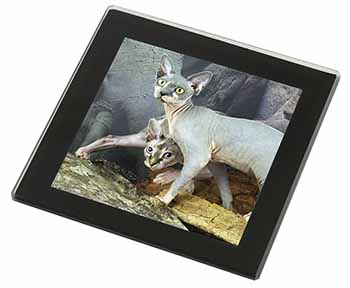 Sphynx Cat Black Rim High Quality Glass Coaster