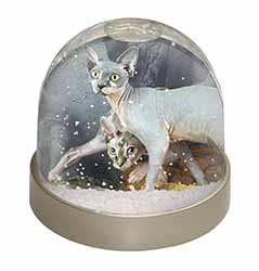 Sphynx Cat Snow Globe Photo Waterball