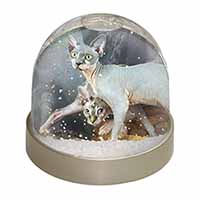 Sphynx Cat Snow Globe Photo Waterball