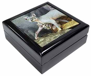 Sphynx Cat Keepsake/Jewellery Box