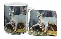 Sphynx Cat Mug and Coaster Set