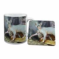 Sphynx Cat Mug and Coaster Set