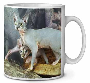 Sphynx Cat Ceramic 10oz Coffee Mug/Tea Cup