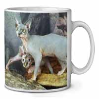 Sphynx Cat Ceramic 10oz Coffee Mug/Tea Cup