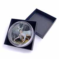 Sphynx Cat Glass Paperweight in Gift Box