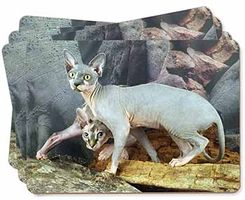 Sphynx Cat Picture Placemats in Gift Box