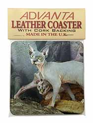 Sphynx Cat Single Leather Photo Coaster