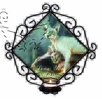 Sphynx Cat 