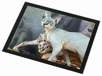 Sphynx Cat 