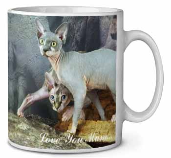 Sphynx Cat 