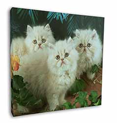 Cream Persian Kittens Square Canvas 12"x12" Wall Art Picture Print