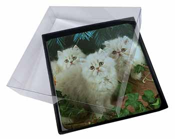 4x Cream Persian Kittens Picture Table Coasters Set in Gift Box