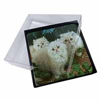 4x Cream Persian Kittens Picture Table Coasters Set in Gift Box
