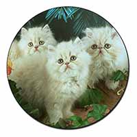 Cream Persian Kittens Fridge Magnet Printed Full Colour