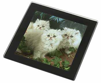 Cream Persian Kittens Black Rim High Quality Glass Coaster