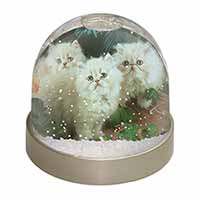 Cream Persian Kittens Snow Globe Photo Waterball