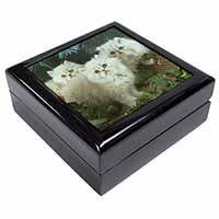 Cream Persian Kittens Keepsake/Jewellery Box