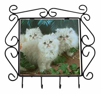 Cream Persian Kittens Wrought Iron Key Holder Hooks