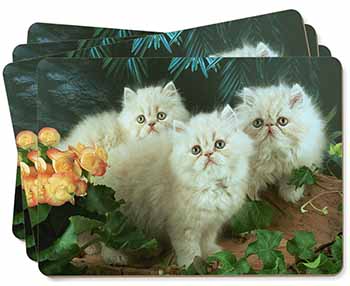 Cream Persian Kittens Picture Placemats in Gift Box