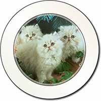 Cream Persian Kittens Car or Van Permit Holder/Tax Disc Holder