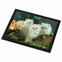 Persian Kittens 