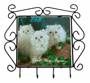 Persian Kittens 