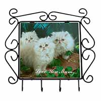 Persian Kittens 