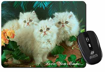 Persian Kittens 