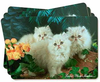 Persian Kittens 