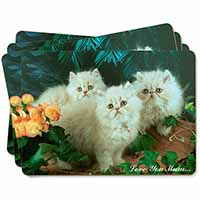 Persian Kittens 