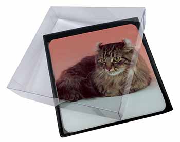 4x American Curl Cat Picture Table Coasters Set in Gift Box