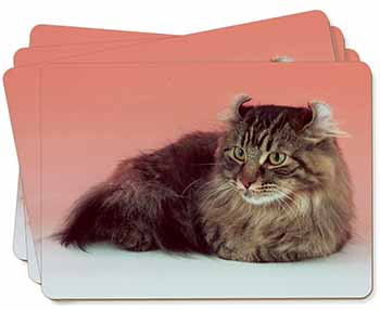 American Curl Cat Picture Placemats in Gift Box