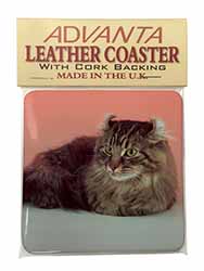 American Curl Cat Single Leather Photo Coaster