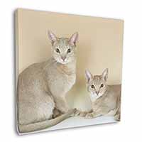 Abyssynian Cats Square Canvas 12"x12" Wall Art Picture Print